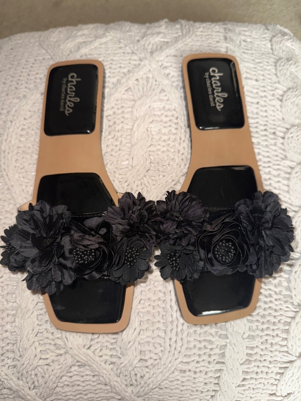 Charles David Slides Never Worn